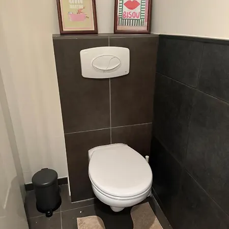 Hippolyte Metdepenningenstraat 아파트 헨트